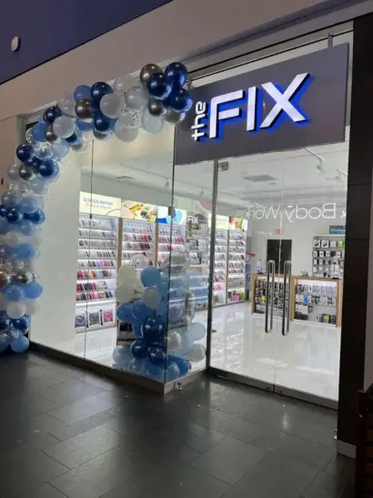 The FIX - photo 1
