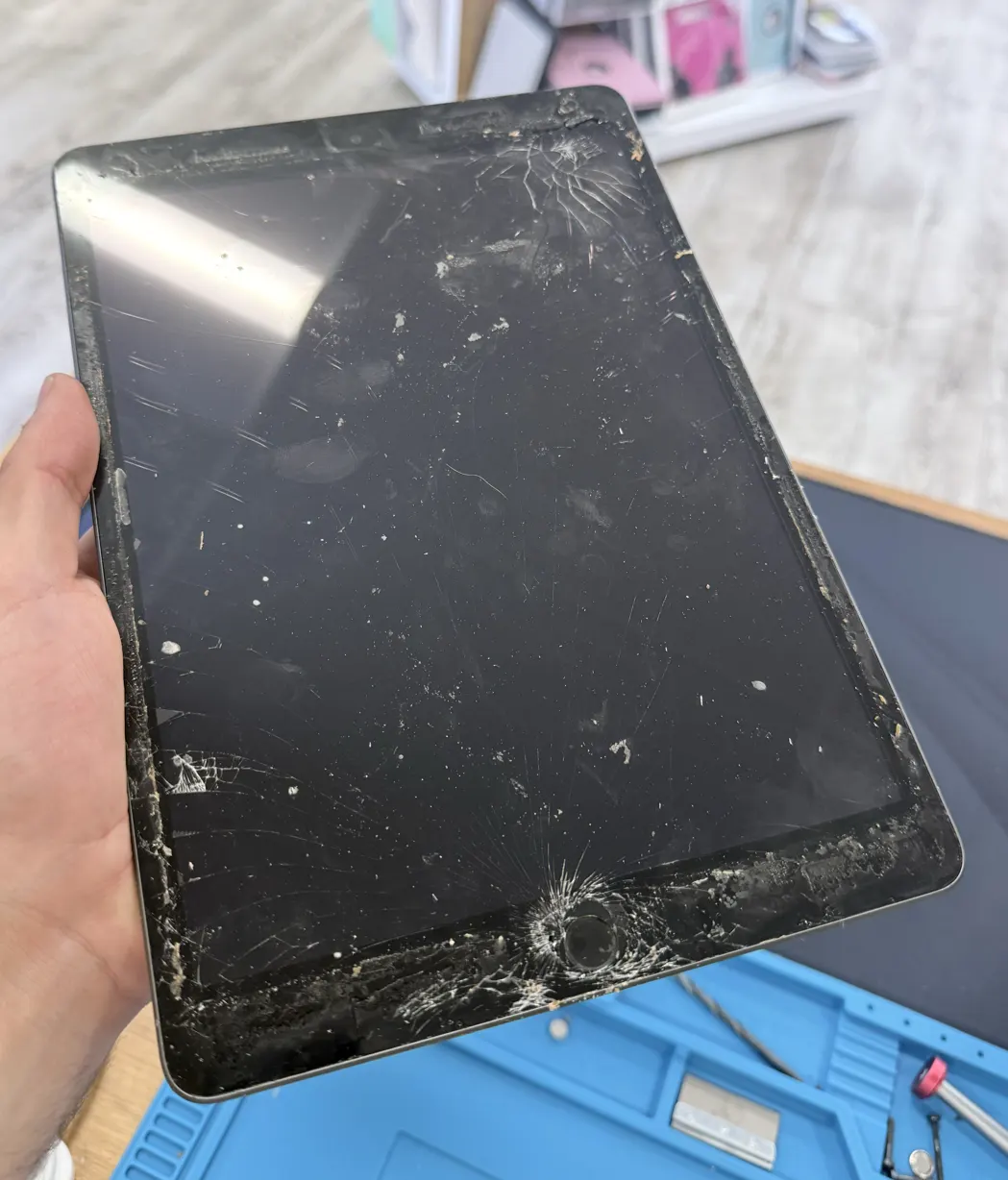 Photo of The Fix